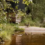 营地 Mobil-home De 26m² Avec Terrasse Pour 4 Personnes - Api-1-52-556