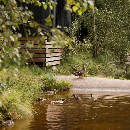 营地 Mobil-home De 26m² Avec Terrasse Pour 4 Personnes - Api-1-52-556