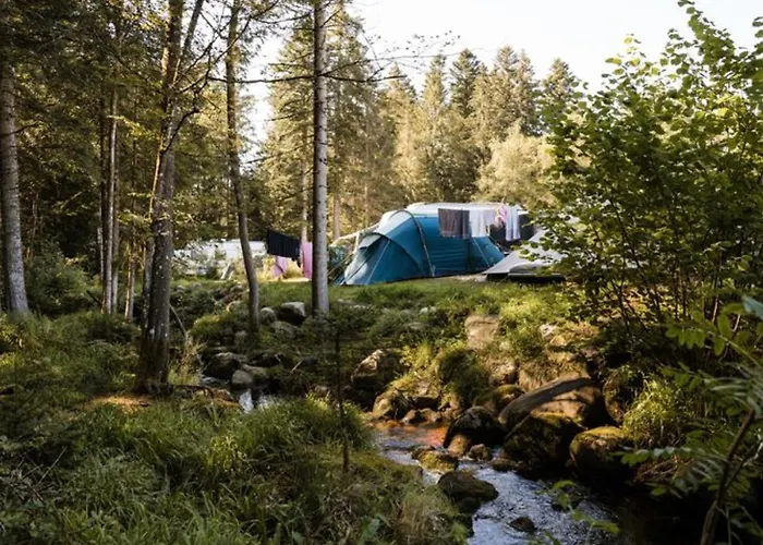 Kemp Mobil-home De 26m² Avec Terrasse Pour 4 Personnes - Api-1-52-556 Granges-Aumontzey