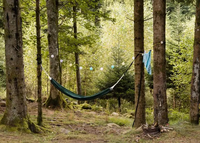 Mobil-home De 26m² Avec Terrasse Pour 4 Personnes - Api-1-52-556 * Granges-Aumontzey