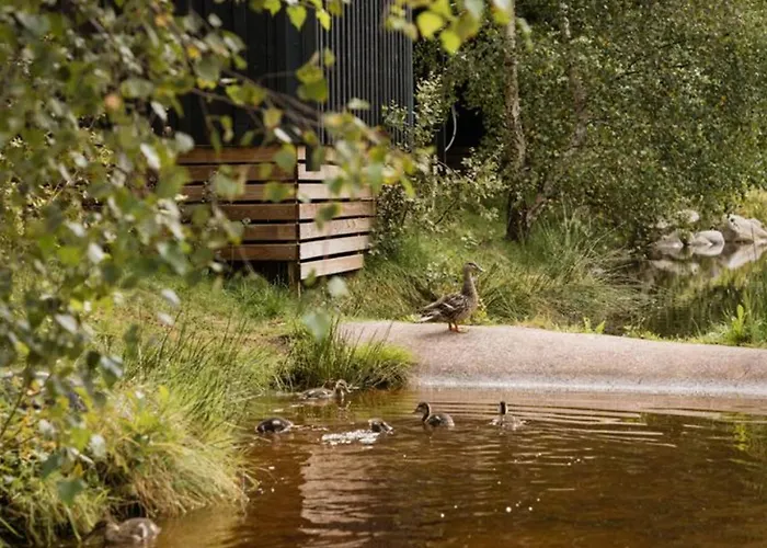 Kemp Mobil-home De 26m² Avec Terrasse Pour 4 Personnes - Api-1-52-556